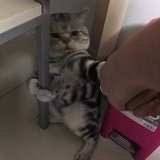 每天都能睡饱