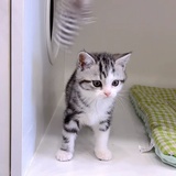(๑•́₃•̀๑)