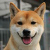 大胸弟