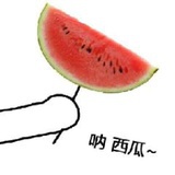 文公诚