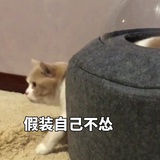 不重要