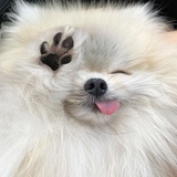 退却