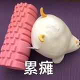 杉菜坛子