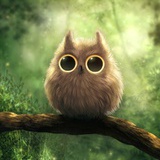 ibou