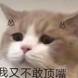 别吃小笼包