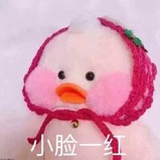 海盐草莓