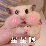豆丁豆丁豆丁豆