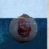 wilson