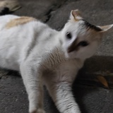 手动空调