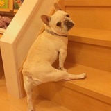 果儿、