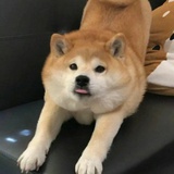 地中海公主