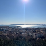 果冻橙