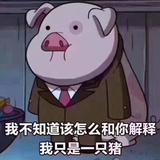 白导很忙