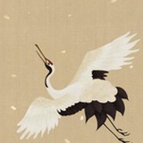 闲云野鹤青崖间