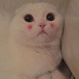 en