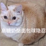 叶匕禾勿