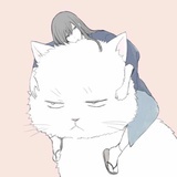 薛小盒