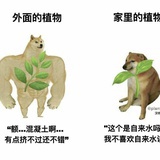 已瘦40斤