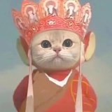 甜甜爆米花