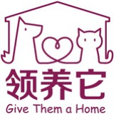 深圳猫狗领养