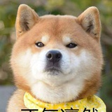 小努