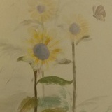 Leo是洋气