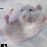 鬼迷神疑