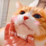 小百无禁忌