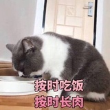 终于可以换名字