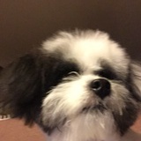吃货衣子