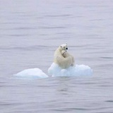 海晴