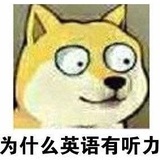 文都考神干货
