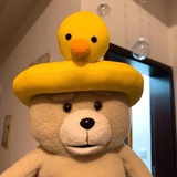 只身寂静星石