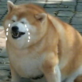 Cccccola~
