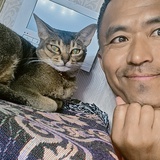 加肥猫