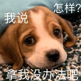 十梓