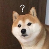 汪汪2333