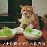 真瓜博主