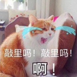 好心作怪啊
