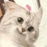灬彦山