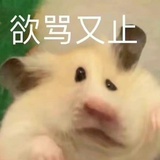 我早就说了