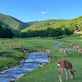 秋天的旷野