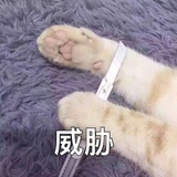 澄纸哦