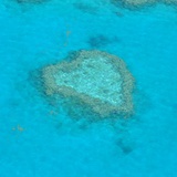 珊瑚海