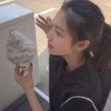 surfei