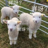 烦人精