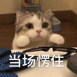 林深见鹿