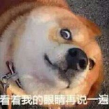 影人1加2