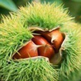 为铜
