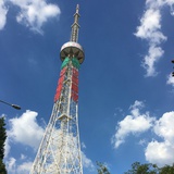赵晓涵